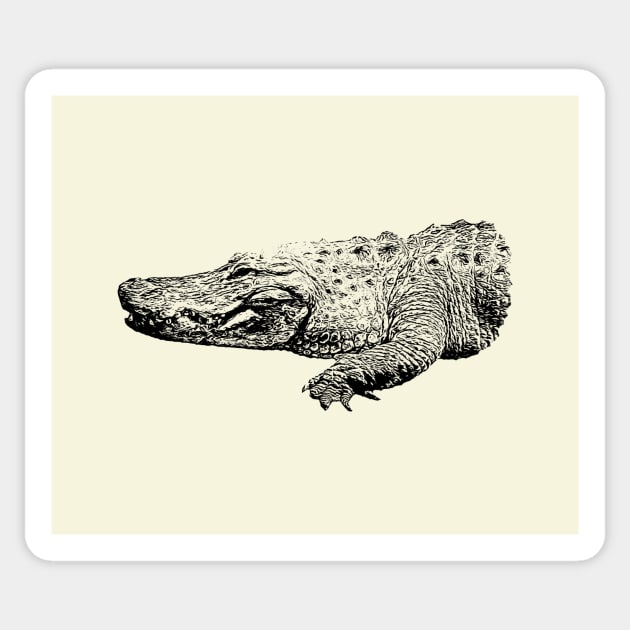 Alligator Sticker by Guardi